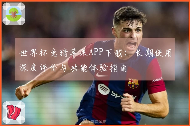 世界杯竞猜苹果APP下载：长期使用深度评价与功能体验指南