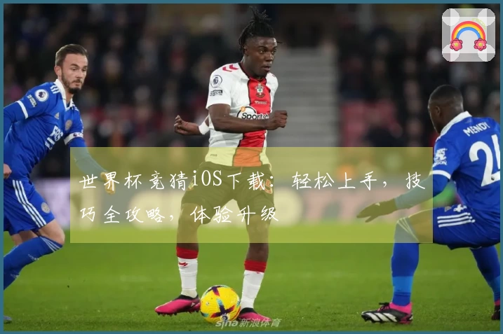 世界杯竞猜iOS下载：轻松上手，技巧全攻略，体验升级