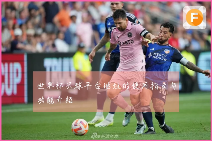 世界杯买球平台地址的使用指南与功能介绍