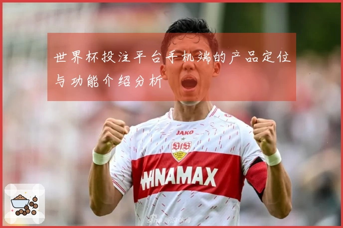 世界杯投注平台手机端的产品定位与功能介绍分析