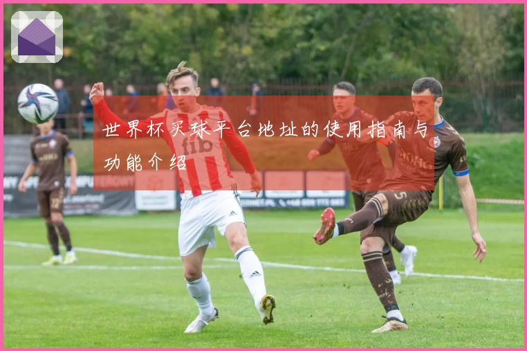 世界杯买球平台地址的使用指南与功能介绍